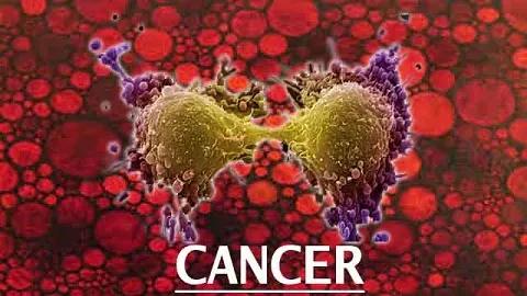 Study shows how cancer evades chemotherapy, finds mechanism to reverse