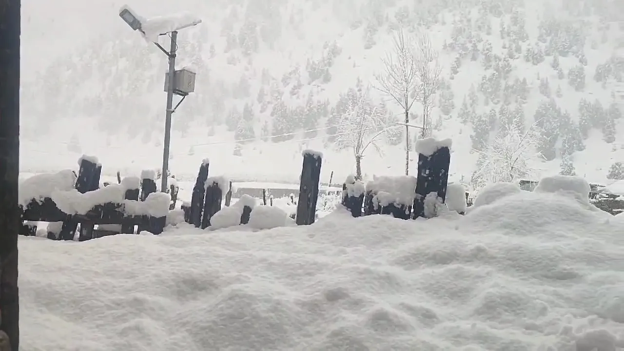 Fresh Snowfall Blankets Gurez Valley, Disrupts Normal Life - Greater ...