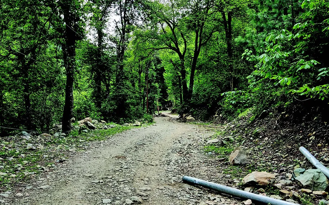 Isolated and Ignored | Bandipora village’s struggle: No Roads, No ...