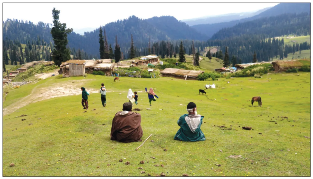 Preserve J&K’s eco-fragile tourist destinations