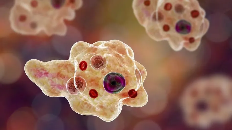 Brain-eating amoeba claims life of Kerala boy, 3rd such death in 3 months